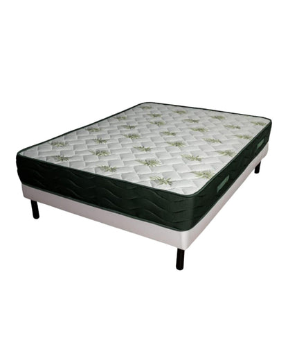 Matelas Aloe Vera - 25cm
